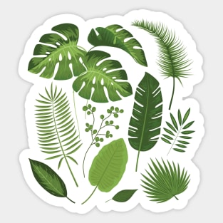 Palm Leaves Sticker